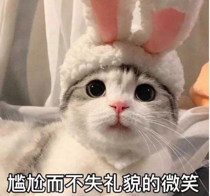 鳳凰杏宇平臺, 杏宇平臺500平臺,