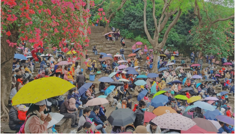 500登錄網(wǎng)址, 杏宇登錄中心,