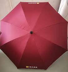 杏宇代理待遇, 鳳凰杏宇代理主管,