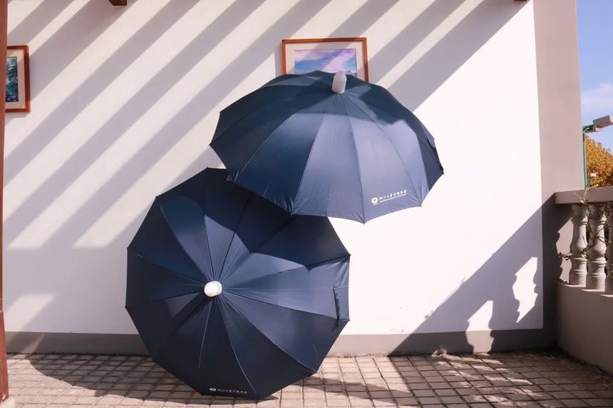 杏宇平臺(tái)網(wǎng)址, 金牌杏宇平臺(tái),