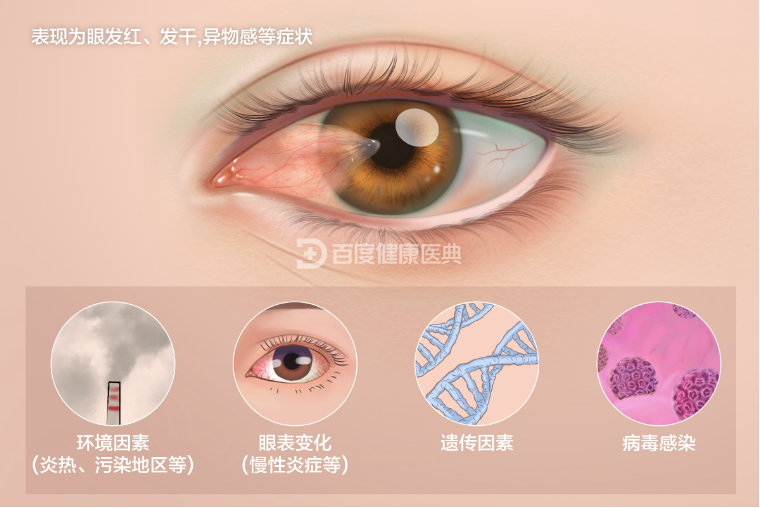 杏宇平臺注冊鏈接, 杏宇平臺官網,