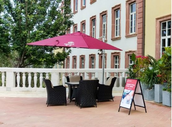 鳳凰杏宇的我, 杏宇平臺代理,