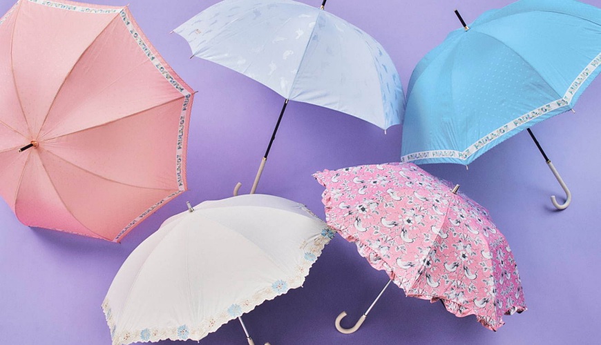 杏宇登錄中心, 杏宇登錄,