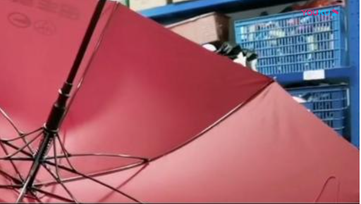 鳳凰杏宇平臺, 杏宇平臺500平臺,