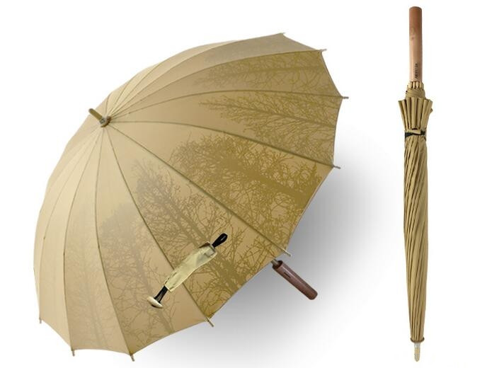 鳳凰杏宇平臺, 杏宇平臺500平臺,