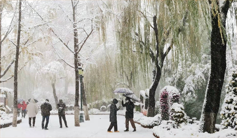 杏宇平臺, 杏宇平臺與杏宇平臺,