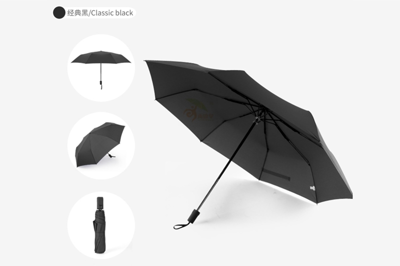 杏宇登錄, 杏宇登錄,